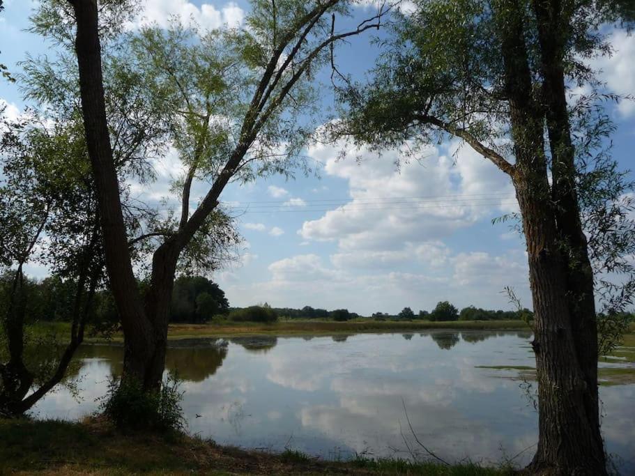 Le Prieure De Loups Bed & Breakfast Saint-Michel-en-Brenne Luaran gambar